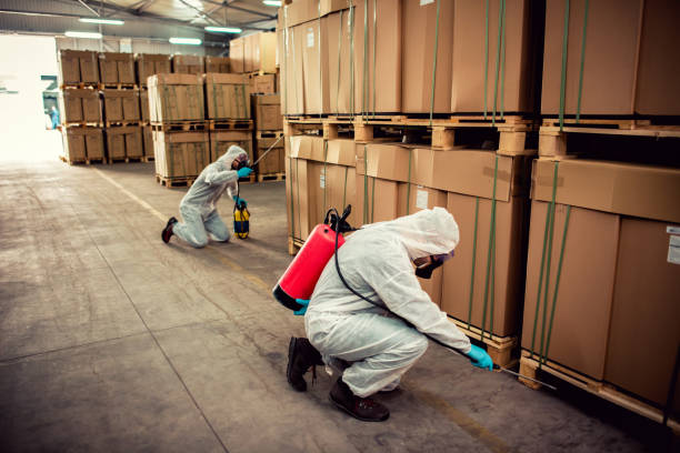 Best Bed Bug Extermination  in Wells Branch, TX