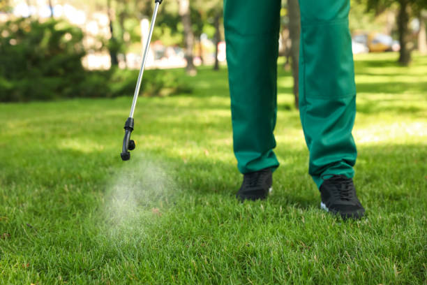 Best Mosquito Control Services  in Wells Branch, TX