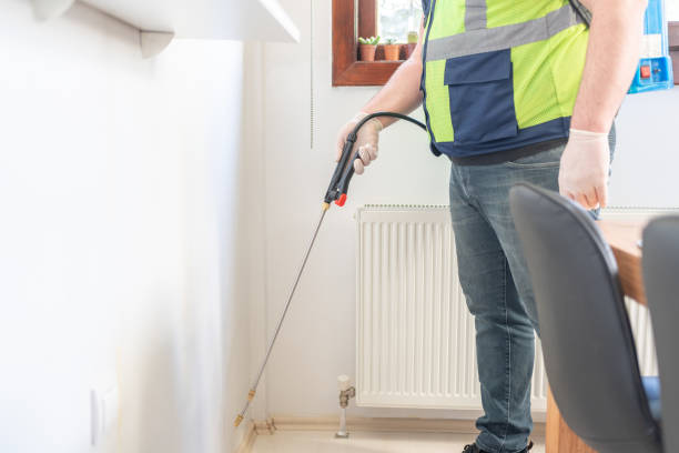 Best Residential Pest Control  in Wells Branch, TX