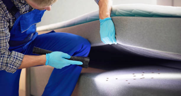  Wells Branch, TX Pest Control Pros