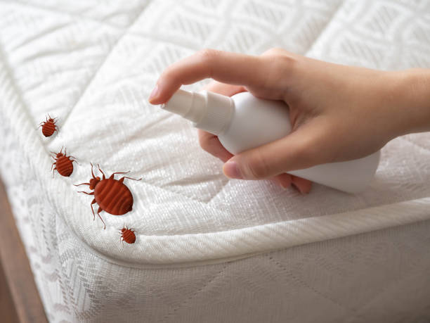Best Commercial Pest Control Services  in Wells Branch, TX