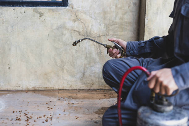 Best Exterminator Services  in Wells Branch, TX